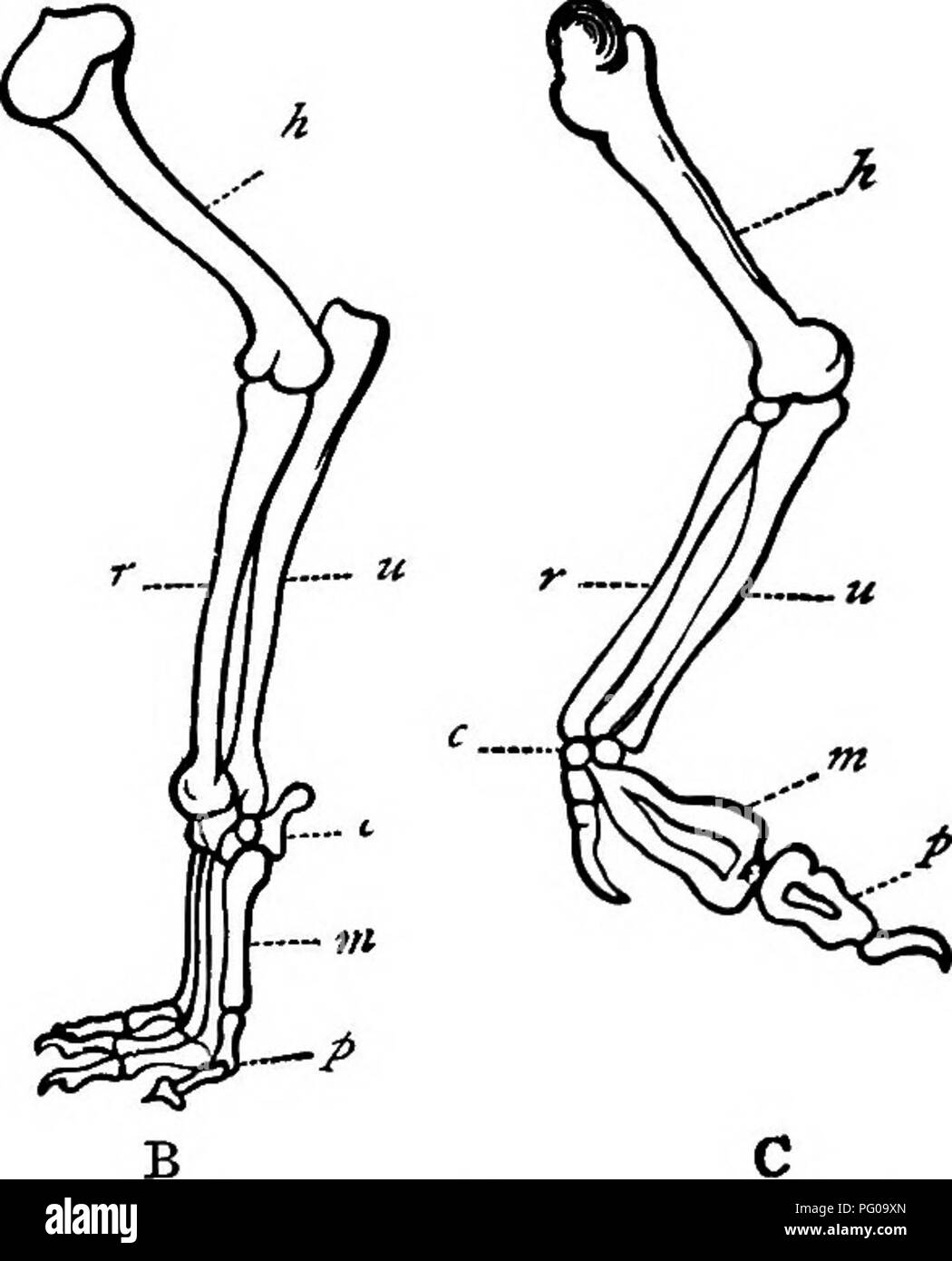 Radius Images Stock Photos & Radius Images Stock Images Alamy