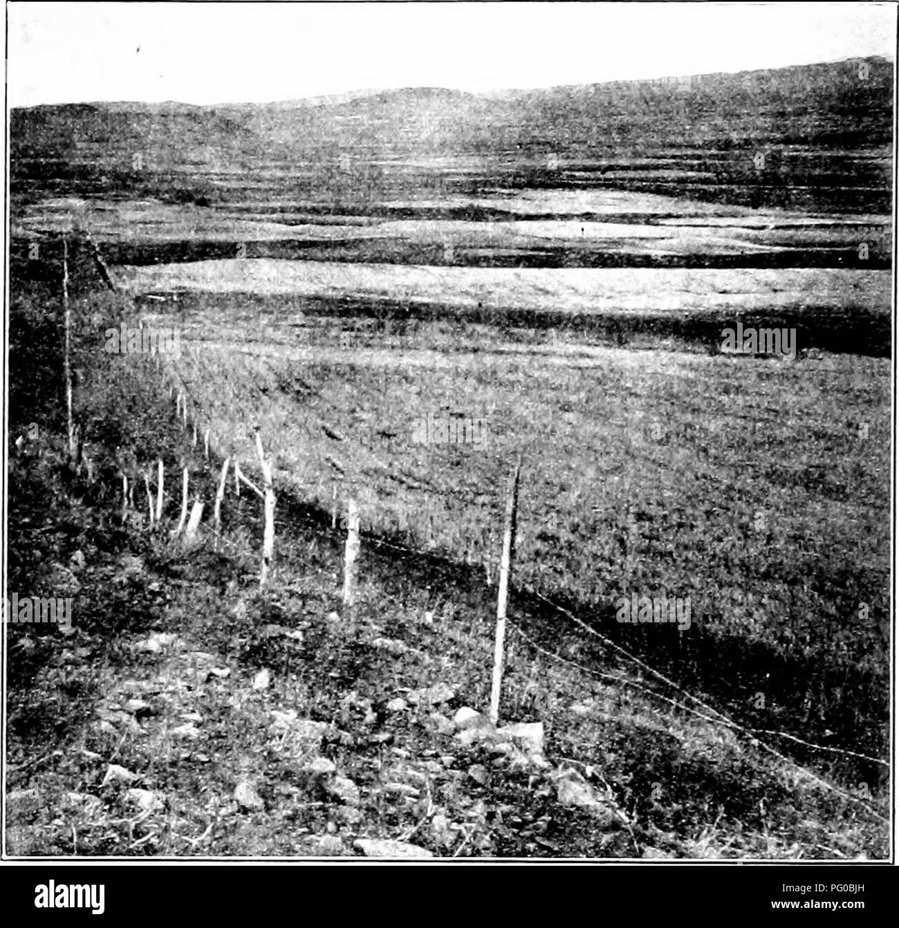 . Dry-farming : a system of agriculture for countries under a low rainfall . Dry farming. 390 DRY-FARMING rado, New Mexico, Oklahoma, and Texas. It is the largest area of dr}'-fann land under approximately uniform conditions. Its drainage is into the ]Iissis- sippi, and it covers an area of not less than four hun-. FiG. 104. Yievf of the .30.000-arre dry-farm district in Cache Valley, Utah. The part at the left of the fence is unreclaimed. dred thousand square miles. Dry-farm cro])s o-row well over the whole area ; in fact, dr}--farming is well established in this district. In spite of the fa Stock Photo