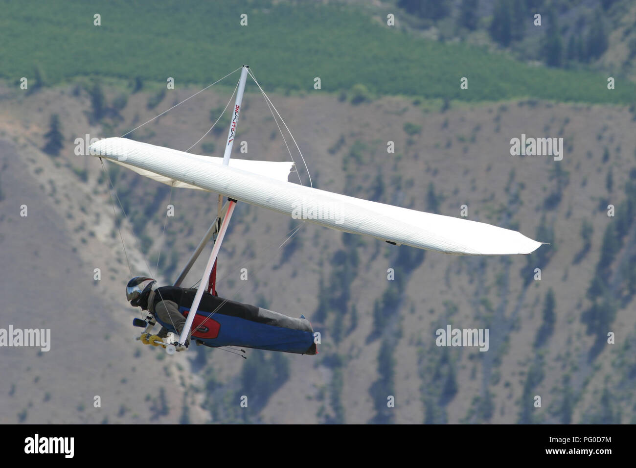 A hanglider pilot flies in the world famous Chelan air off Chelan Butte in eastern Washington State. Stock Photo