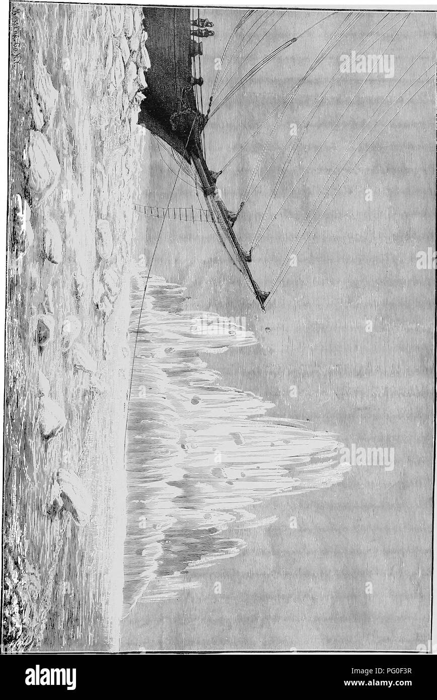 . Report of Winfield S. Schley, commanding Greely relief expedition of 1884. Voyages and travels; Voyages and travels; Scientific expeditions; Scientific expeditions. o a o &gt; 1-3 !a O c; o K &gt;—I n. Please note that these images are extracted from scanned page images that may have been digitally enhanced for readability - coloration and appearance of these illustrations may not perfectly resemble the original work.. Schley, Winfield S; Greely, A. W. (Adolphus Washington), 1844-1935. Washington, D. C. : Government Printer Stock Photo