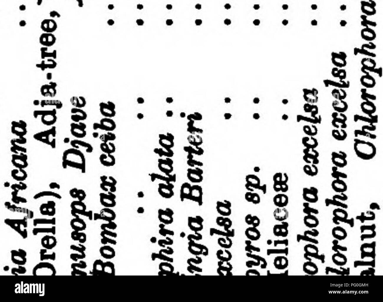 . West African forests and forestry . Forests and forestry. r â -4 o eo to i-H -^ pH c4 a o p-H 04 â a ei ^00 ao&gt;i-&lt; to C4 CD lO A 40 CO 00 ome)TH^ceo&lt;M corns rt O i-l CO CO â -0 O -hUStHW &gt;-&quot; M t- t-Â«^ 1^ H P4 CO P O â 30) O I tKCQ O O 04004 CO'41 fm 04 |Â« m 1^ CM IâI p W g CQ BoÂ® ?? p &amp;m g PM b I CQ o O (^ 1^1 1^1 553 H I coco 12 21 I SI I coo o&gt; r I '4lr40&gt;'Â«'4l0Â«ia'&lt;li t- â Â«â¢* e40aoi-&lt; fH 1-^ CO ^ l-H -^rt CO 004 CO CO 04 CO 04 lo o ^o)cDioa&gt;co OOCOrH CO 00 [-04'4104000 00 a&gt; s :f O I CB. u B â¢. OC -. 9 â &quot;7 i a es Â«Â£â â¬ g .-â¢ ii 'S  Stock Photo