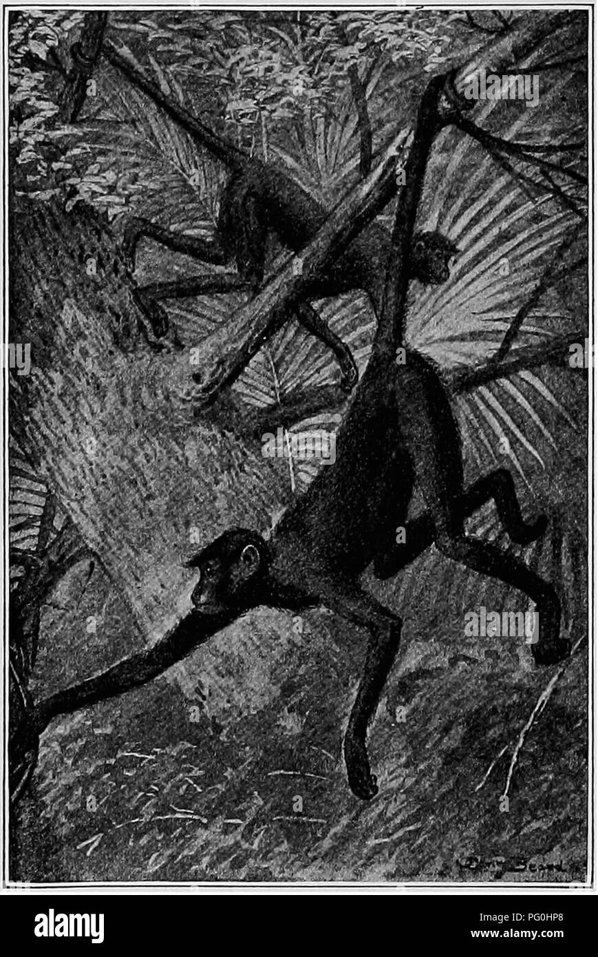 This natural history text covers the behaviors and characteristics of ...