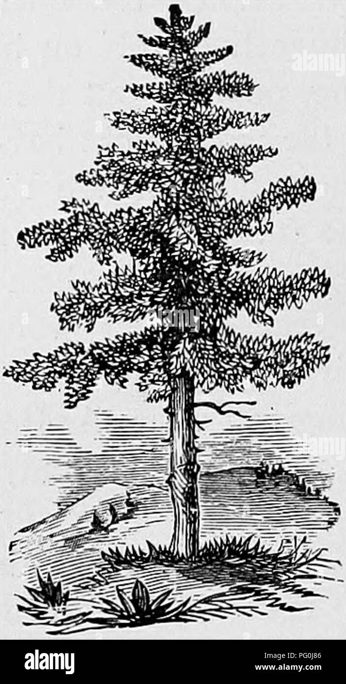 Pennsylvania wilds hires stock photography and images Alamy