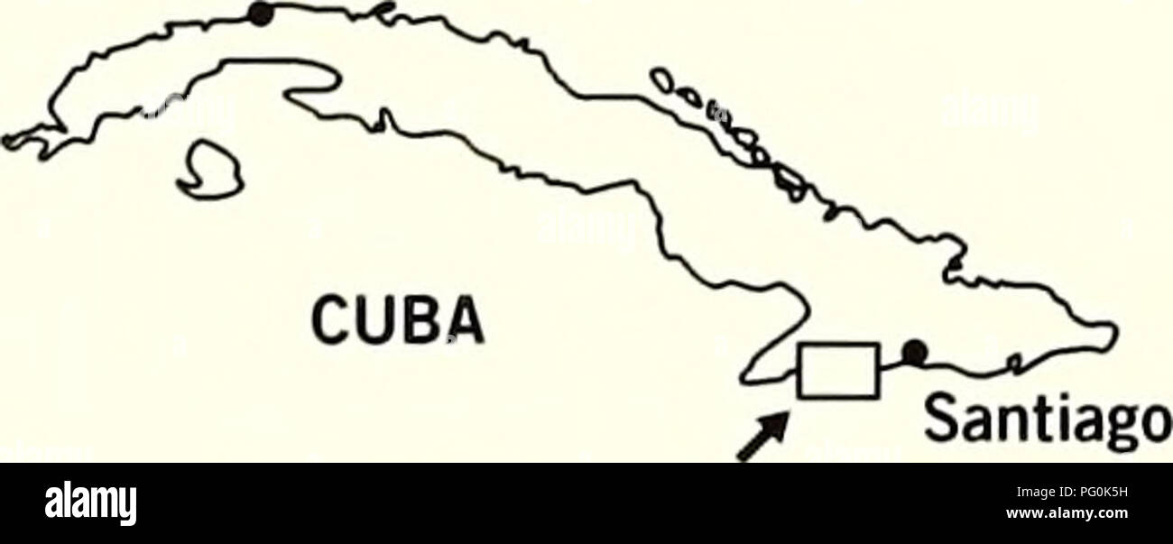 . Cuba : Parque Nacional la Bayamesa. Natural history; National parks and reserves; Ecological assessment (Biology); Wildlife conservation. ^Por que el Parque Nacional La Bayamesa? Si usted se encuentra rodeado de bosques naturales, los nombres de los picos que lo rodean recuerdan las gestas independentistas cubanas, y es la mayor area del pais con alturas superiores a los 1 200 msnm, sin duda alguna esta en el hermoso Parque Nacional La Bayamesa. El Parque, protegido por su dificil acceso, alberga en solo el 0.2% del territorio nacional mas de un miliar de especies vegetales y una cifra aun m Stock Photo