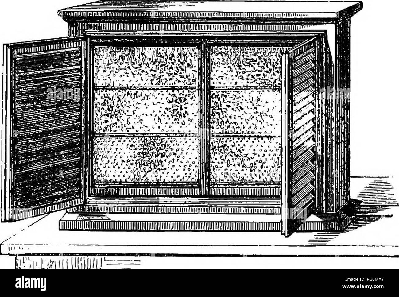 . The honey-bee; its nature, homes and products. Bees. 168 THE HONEY-BEE. by rotating the hive, and the different classes of the population can be studied, and their work surveyed in security and continuously. The unicomb hive may be stocked in various ways. The simplest plan is to take from a bar-frame hive the comb on which the queen is, and put it into the unicomb hive with as many more empty frames as will fill all the space intended for their reception.. ;!^^'fk!!ij,i!i;;^viii;?,, Fig. 59.—Unicomb Observatory Hive. In this way new clean comb will be made, giving a much better appearance t Stock Photo