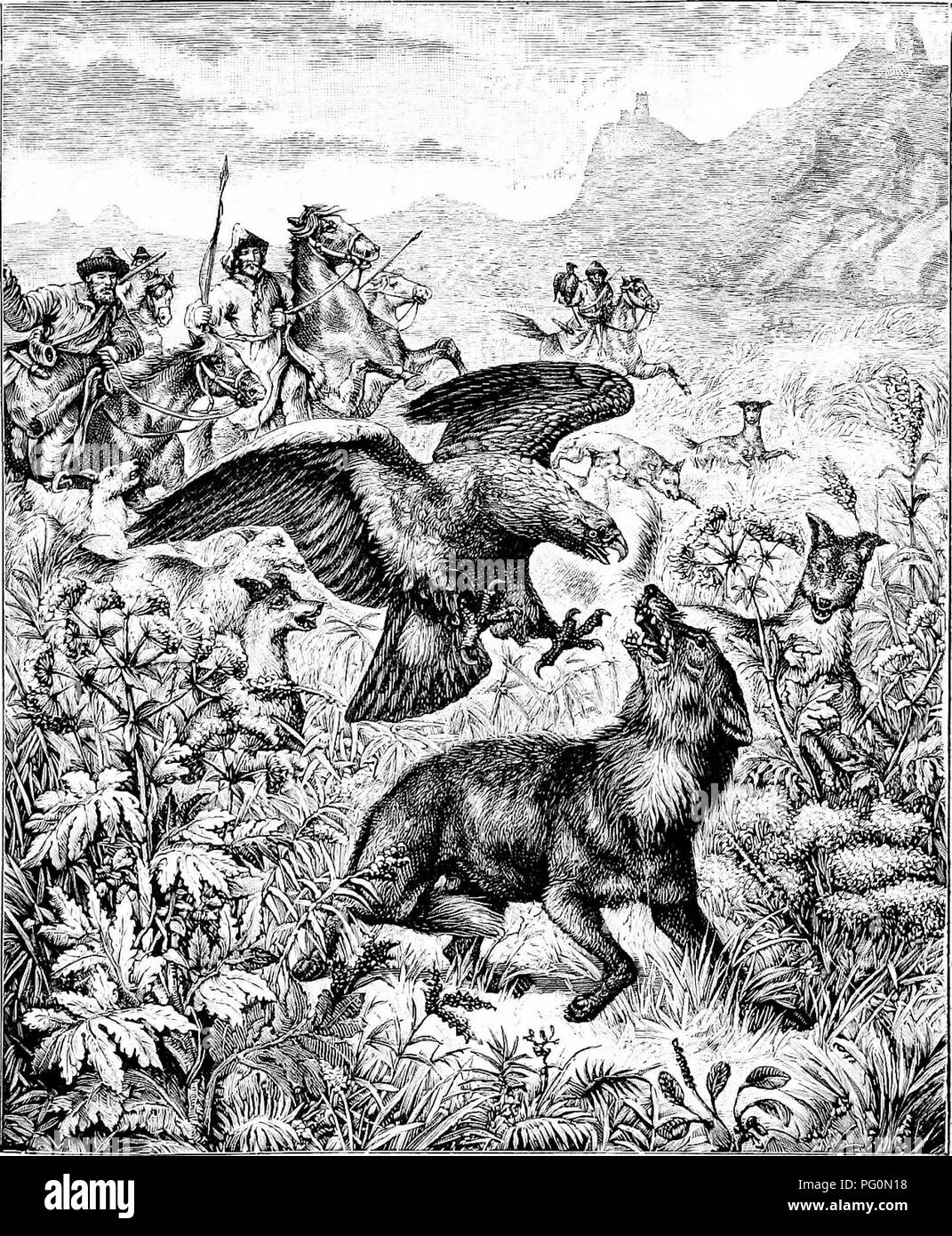 From North Pole To Equator Studies Of Wild Life And Scenes