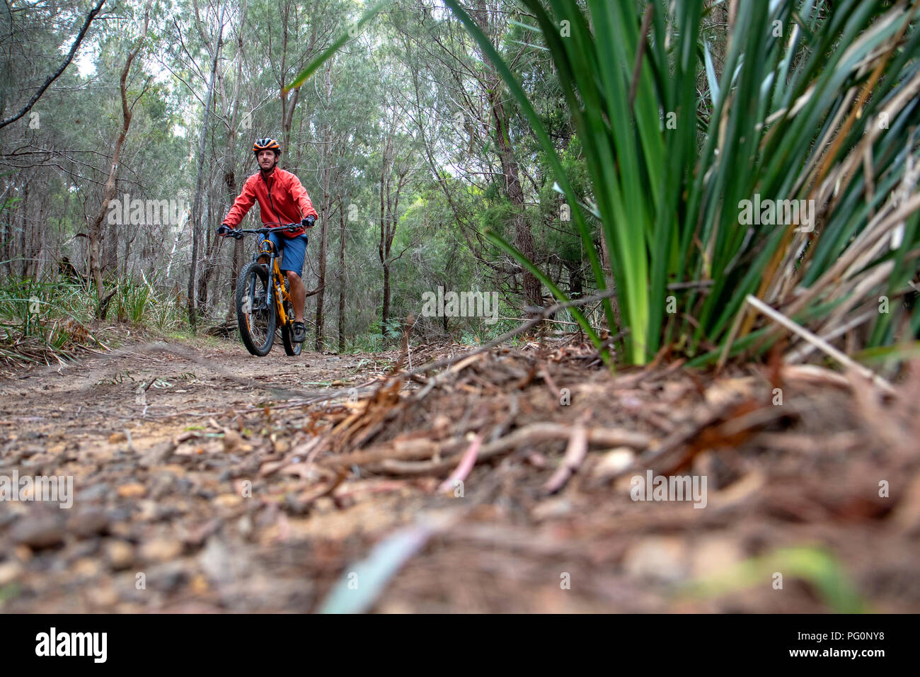 Kate reed nature recreation area hires stock photography and images Alamy Kate reed nature recreation area hires stock photography and images Alamy