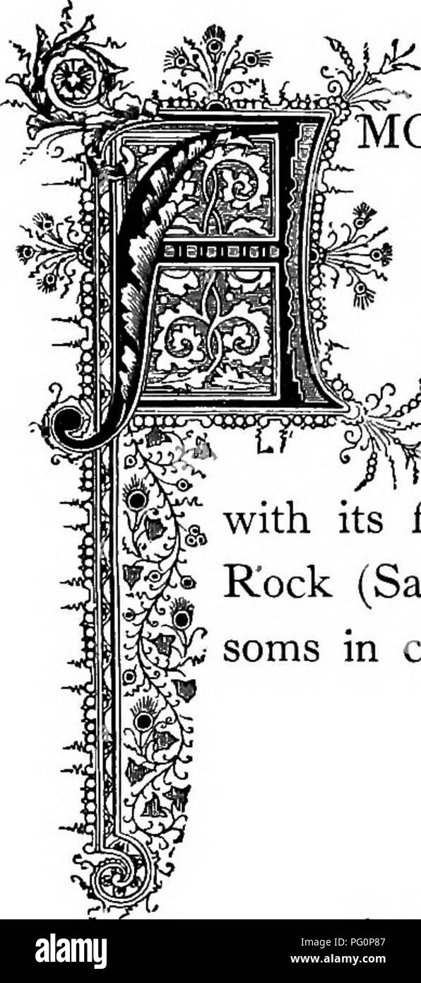The Floral Kingdom Its History Sentiment And Poetry A Dictionary Of More Than Three Hundred Plants With The Genera And Families To Which They Belong And The Language Of
