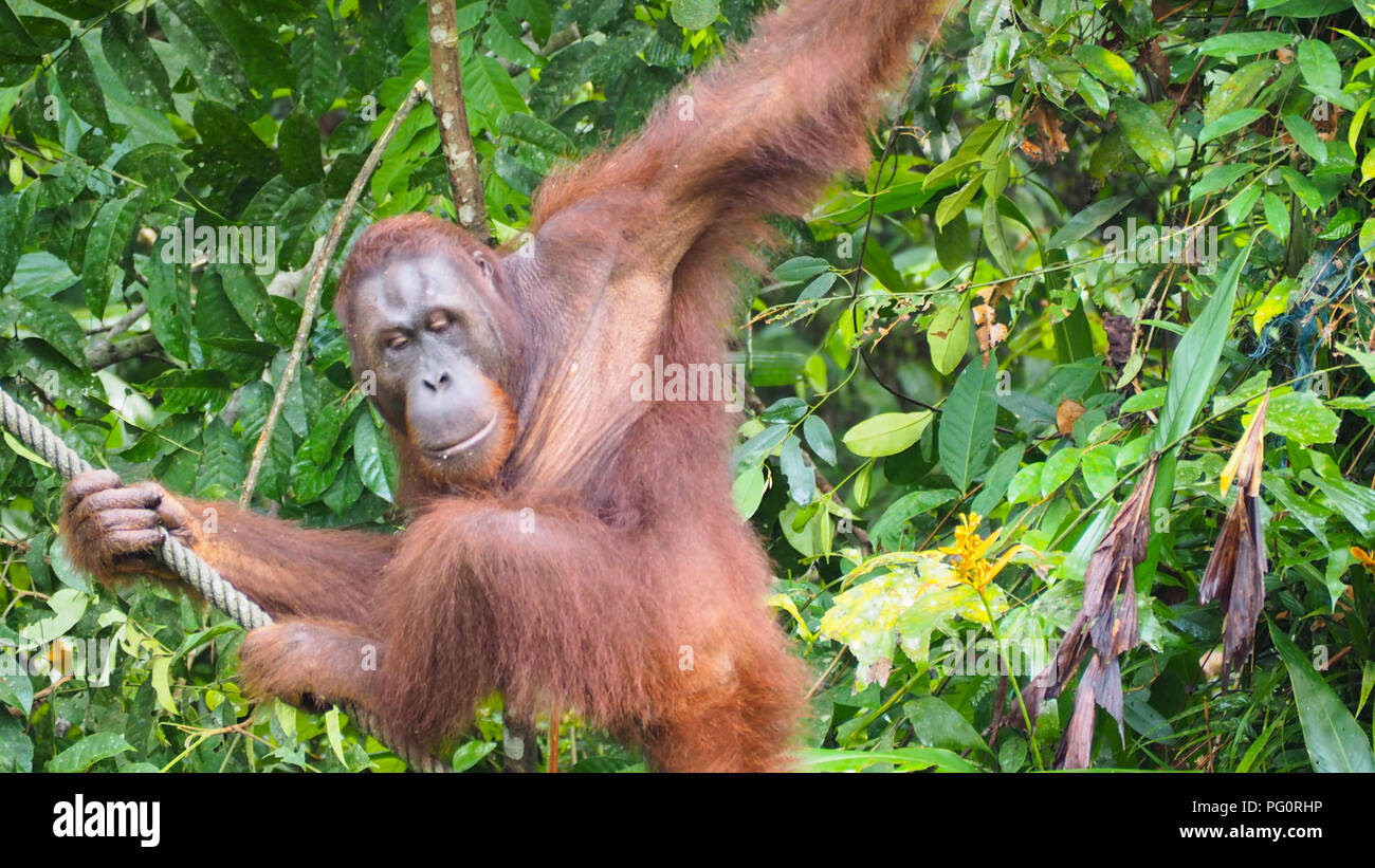 BDSMni qanday qilish kerak