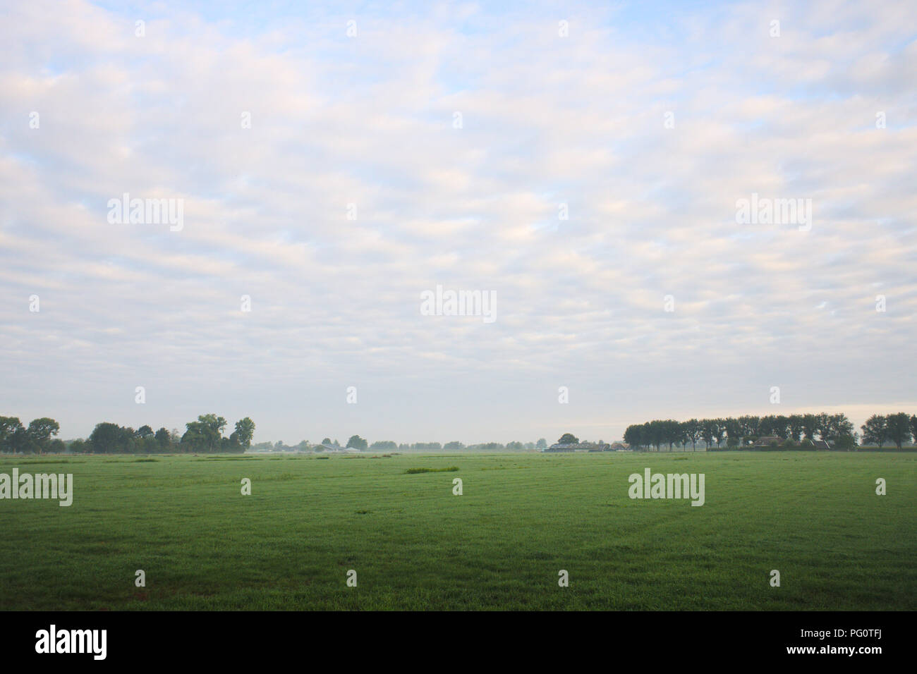 View over a green field with a blue sky filled with puffy clouds. Stock Photo