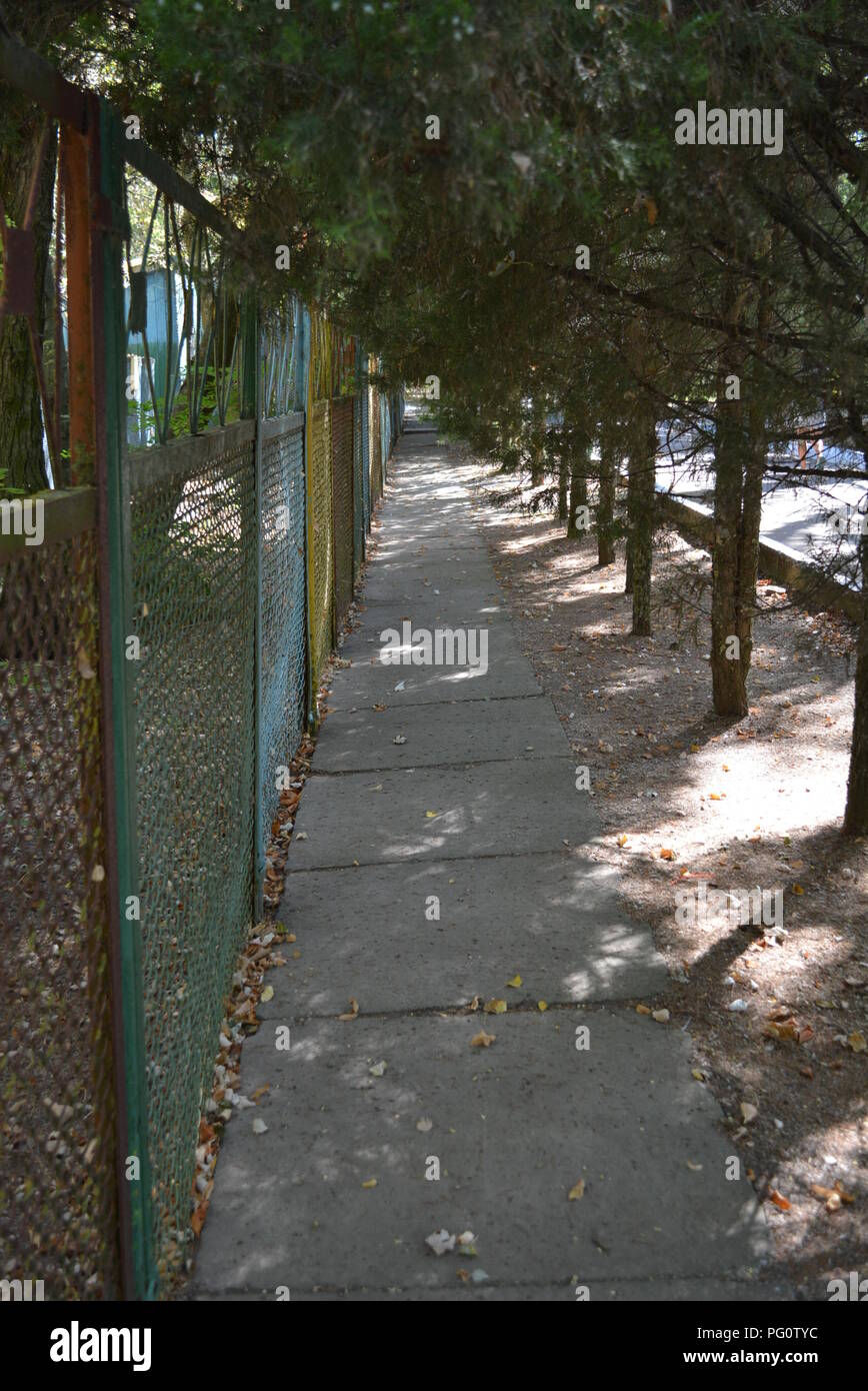 An alley along the road hi-res stock photography and images - Alamy