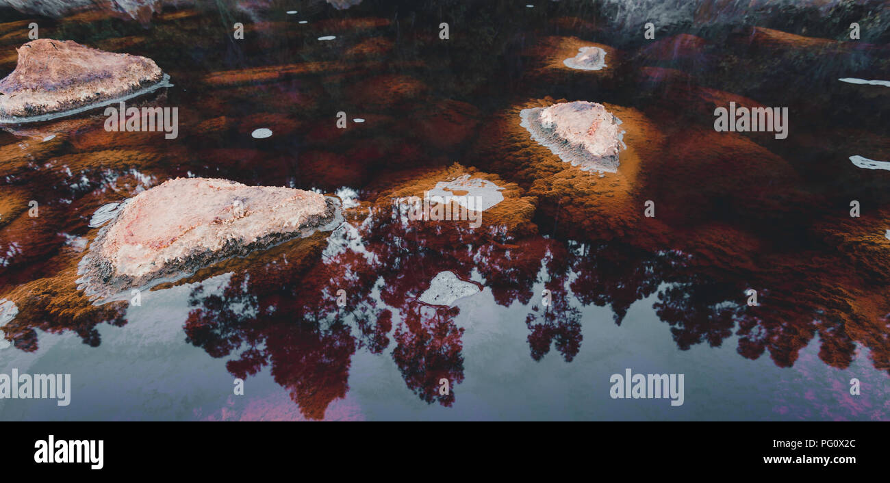 Rocks in the acid waters with reflections of trees, in whose bottom ...