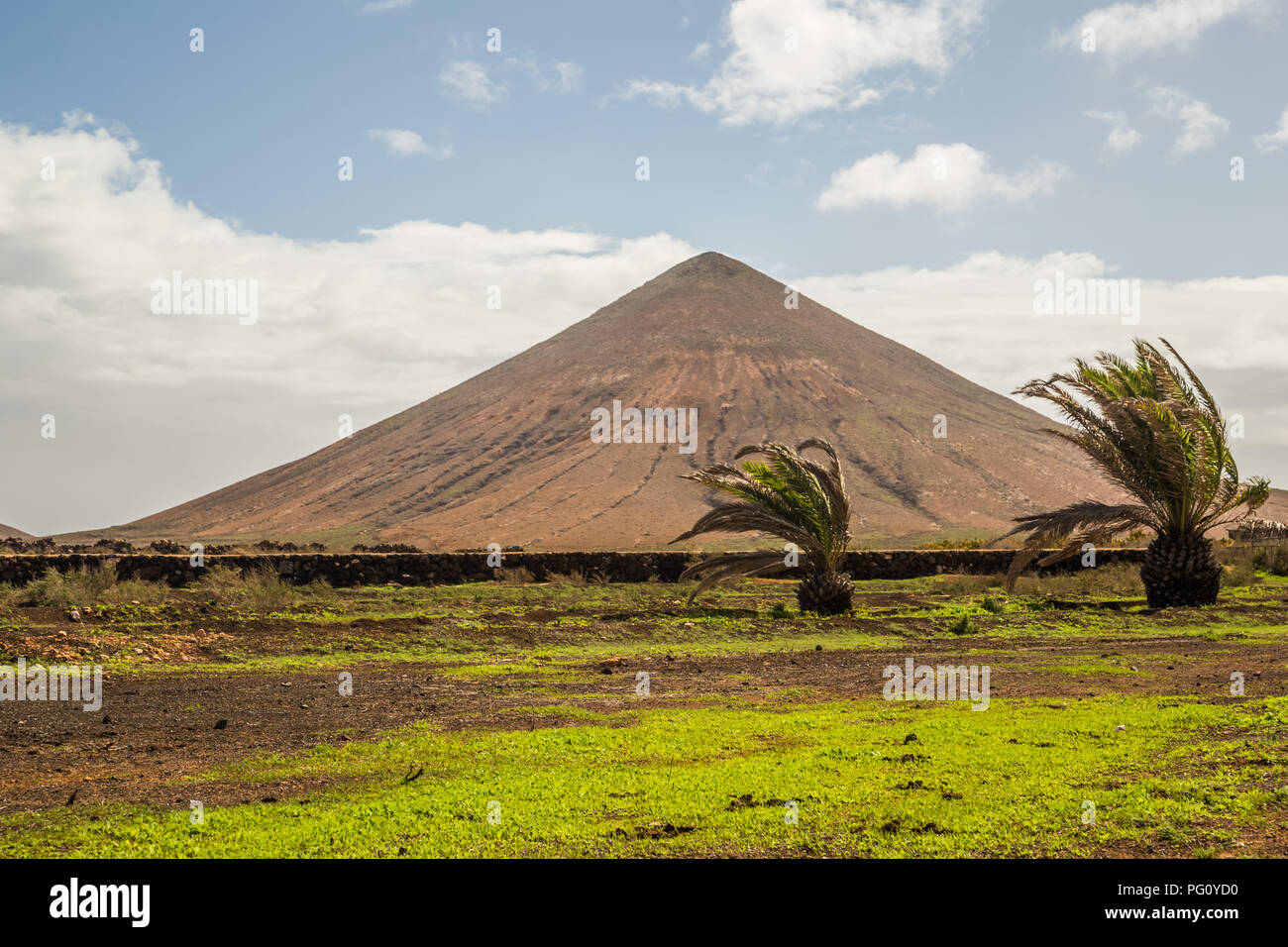 Volcano near La Oliva, Las Palmas, Fuerteventura, Canary Islands, Spain  Stock Photo - Alamy