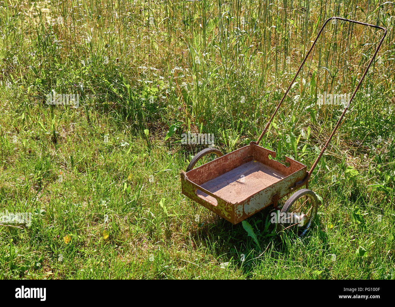 Old rusty cart on the field of golden wheat under beautiful sunlight harvest season background Stock Photo