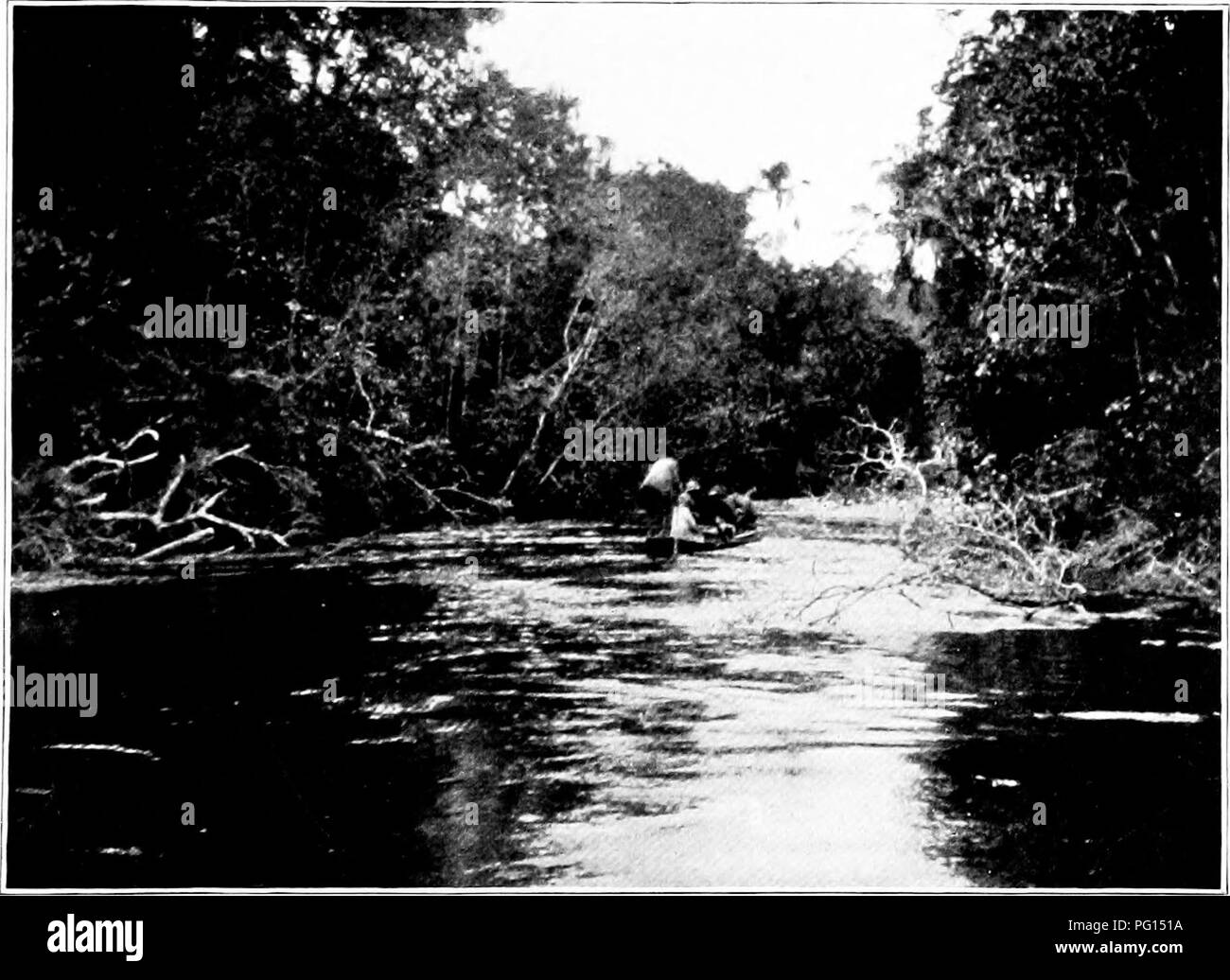 Through The Brazilian Wilderness Roosevelt Rondon - 