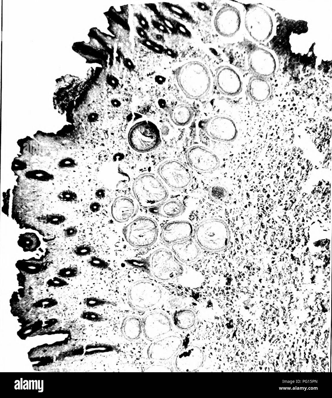 I O U Black And White Stock Photos Images Alamy I O U Black And White Stock Photos Images Alamy