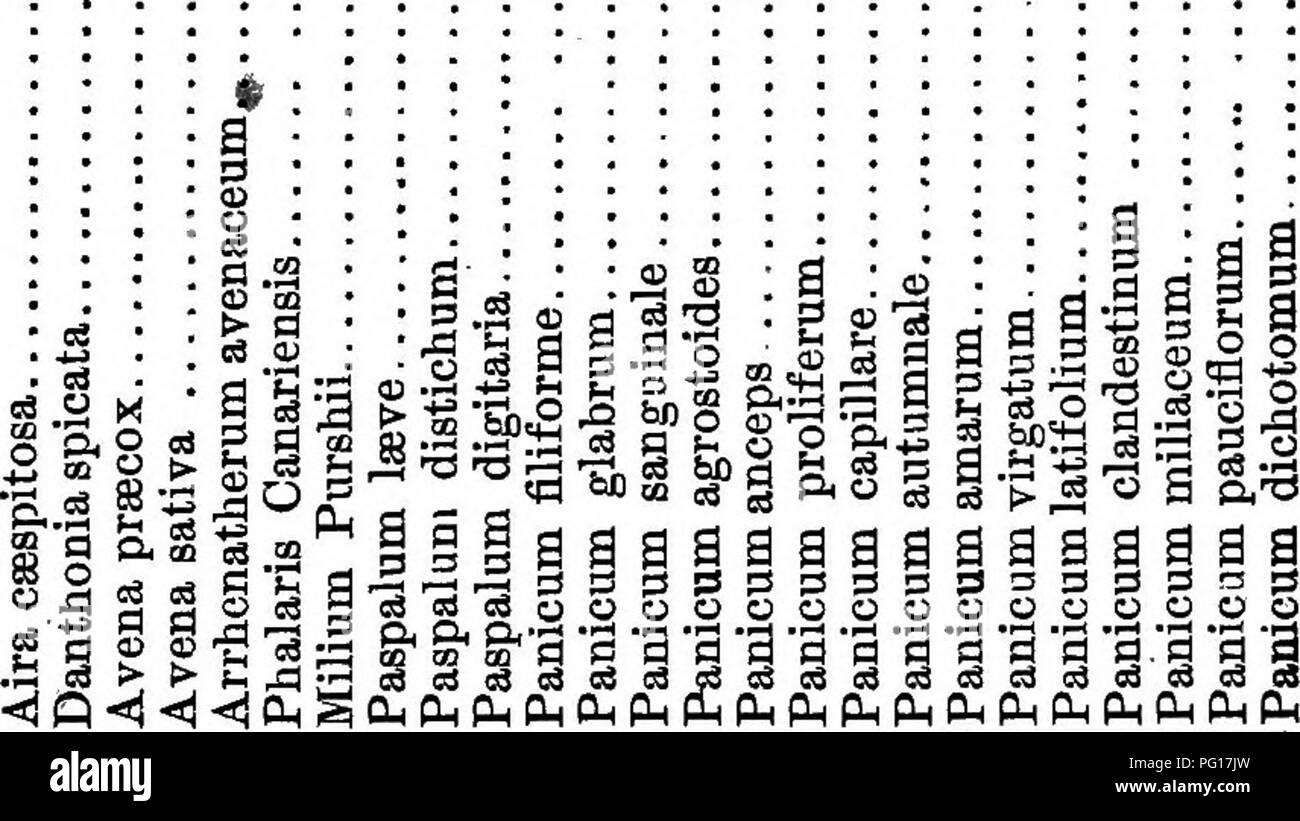 The Grasses Of Tennessee Including Cereals And Forage Plants Grasses Forage Plants Grain Op Tennessee 73