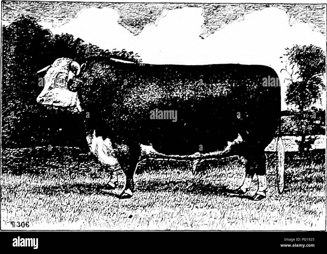 . History of Hereford cattle : proven conclusively the oldest of ...