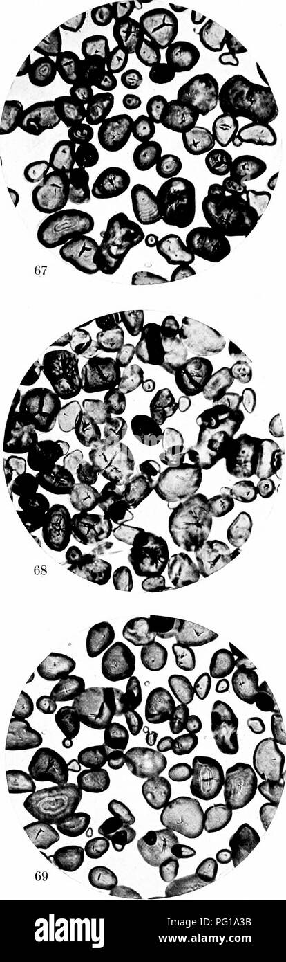 This work explores the biochemical foundations of taxonomy, heredity ...