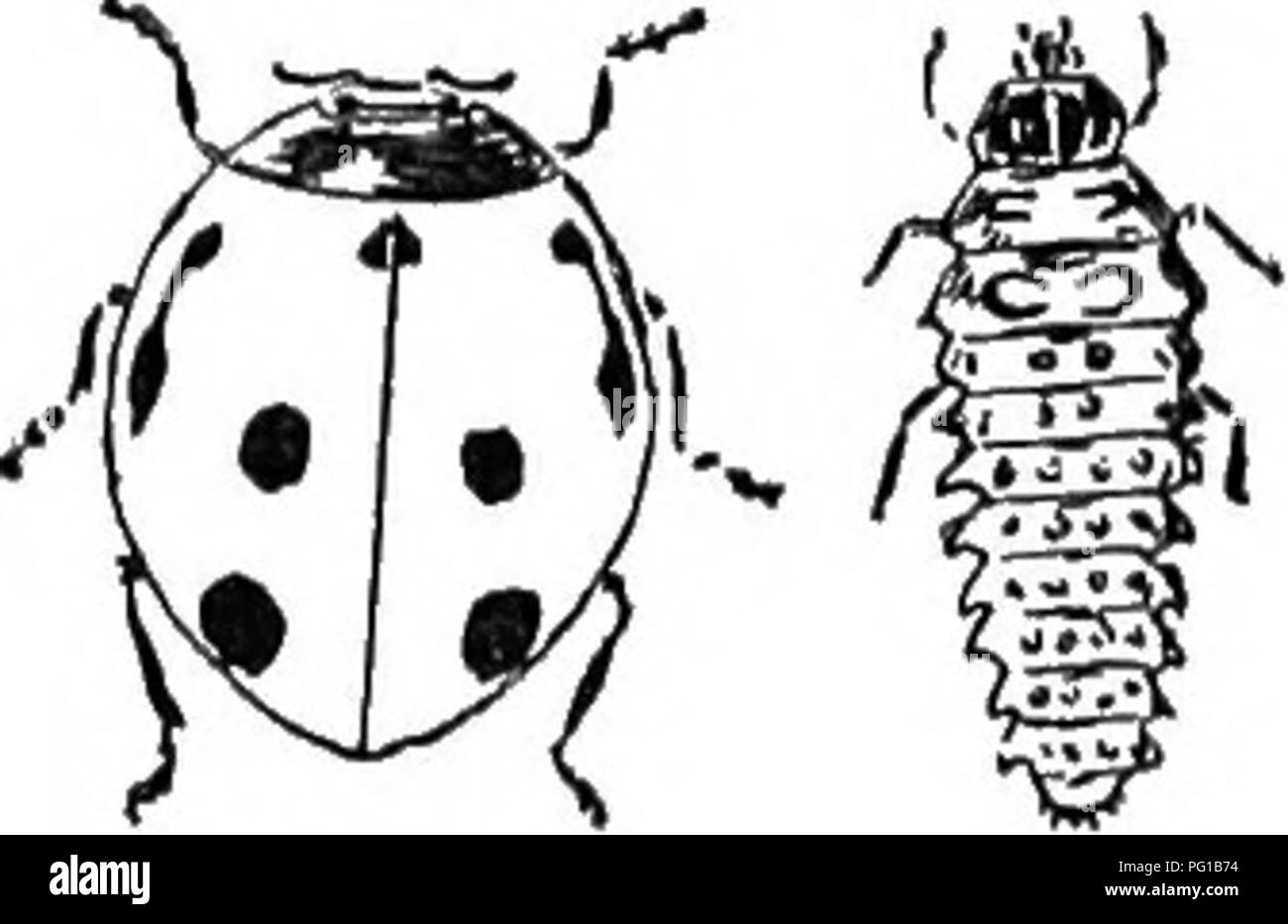 The Natural History Of The Farm A Guide To The Practical Study Of