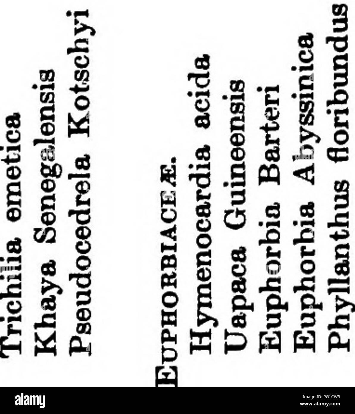 . West African forests and forestry . Forests and forestry. e o H 3 s a s 8 I za g IâI &gt; O P3 Â§ W H 03 O W H P3 O CO W P3 H O H HH &amp; 1-1 l-^ ^ -Si Pi H IâI I W is; 2 ^ 0) a s H Â§ 1-5 U o . o a CO ^Â£ i &gt;&gt;Â£ I S c8 0) CS 1 o OS O â a o i 9 :s d 9 &gt; J â¢E'C S5 .S i'f MSS CD O â Â§ OS o j: DO &quot;3 C9 0. aa 1 i =3 s &gt;4 13 Â§!&gt; 8 o ;sR B B) â d o. I 5 I- U 3 9 d ^- S n =g I S 0. &lt; ^ wO-^li w â¢c I n ^ C8 09 a, â¢5' 3 H i i S Ml a N iS N. Please note that these images are extracted from scanned page images that may have been digitally enhanced for readability - colorati Stock Photo