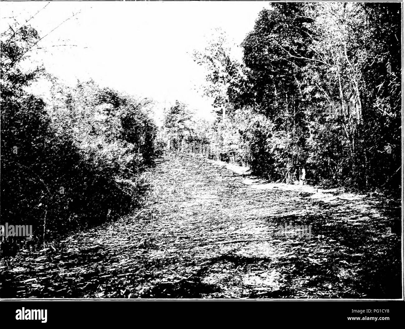 Timber Fire Black And White Stock Photos Images Alamy