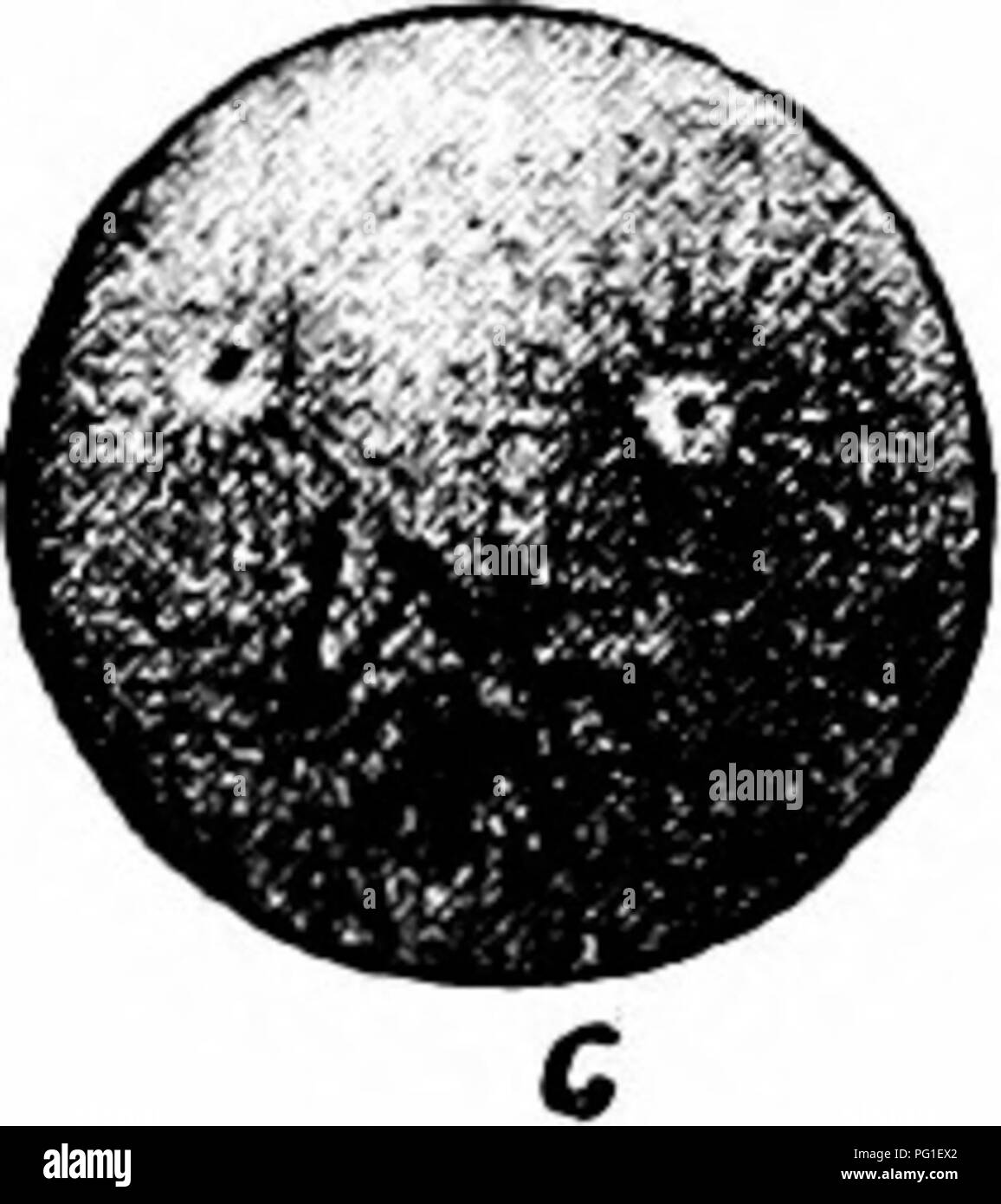 This book explores the principles of evolution, genetics, and eugenics ...