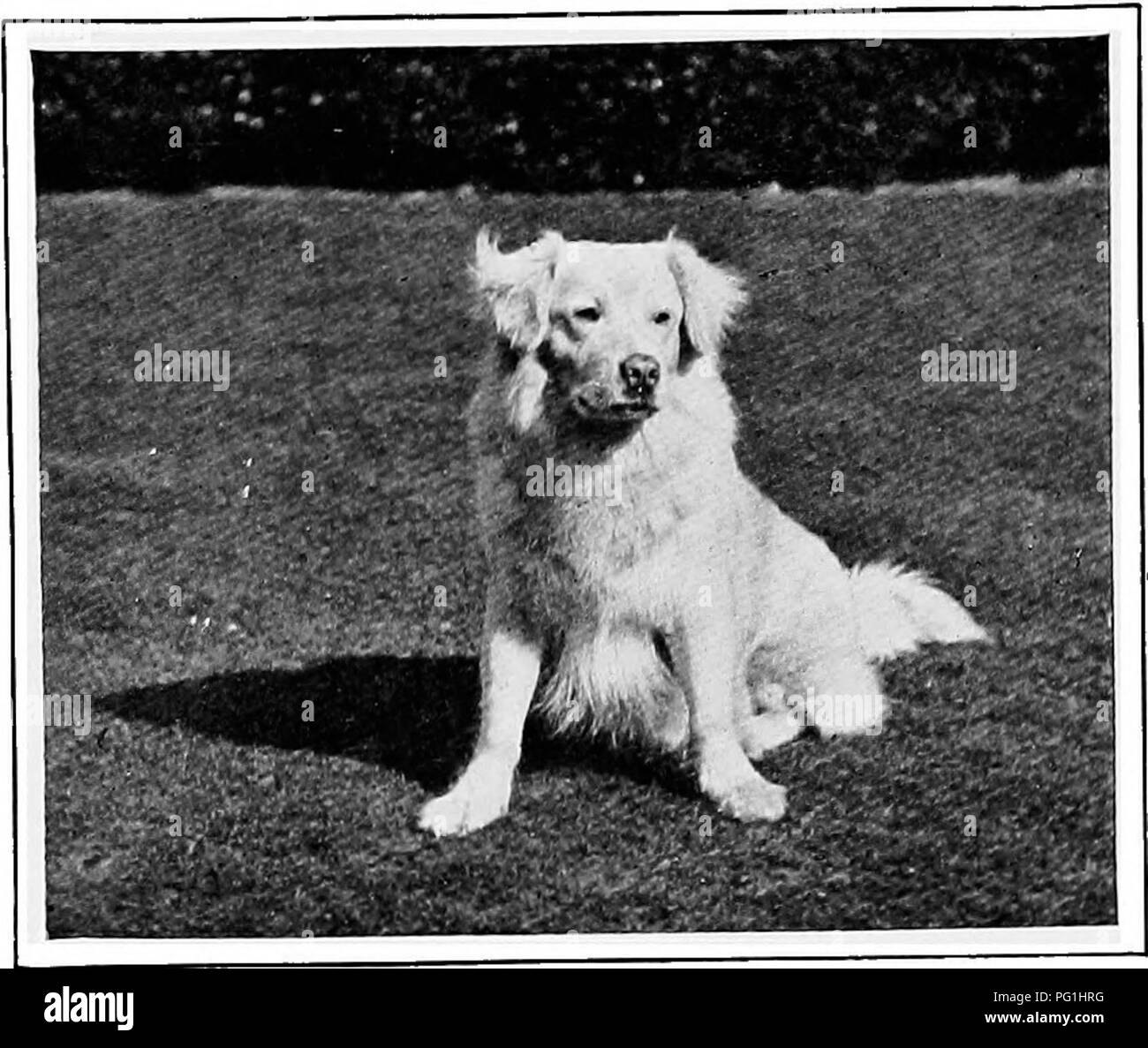 alamy
