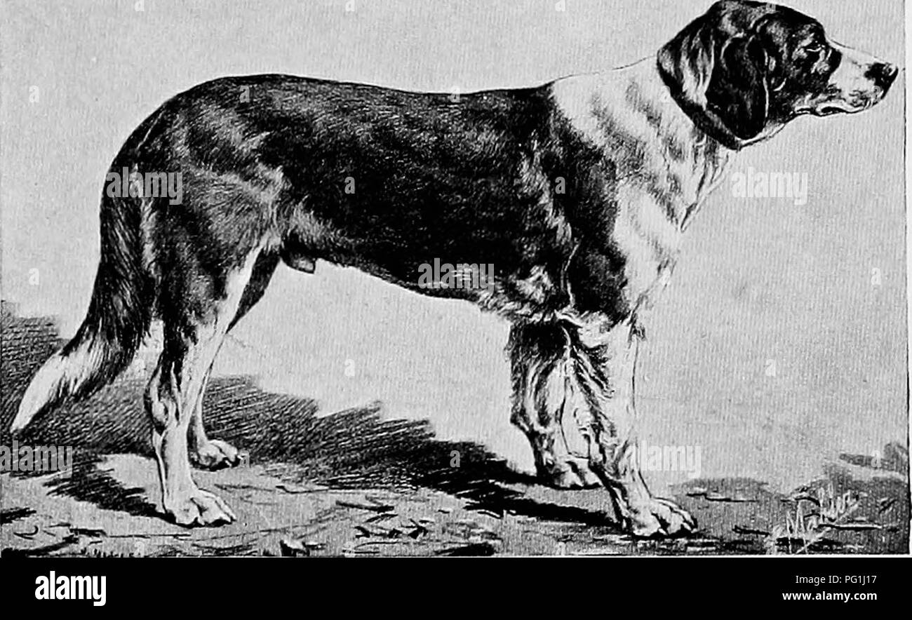 The new book of the dog; a comprehensive natural history of ...