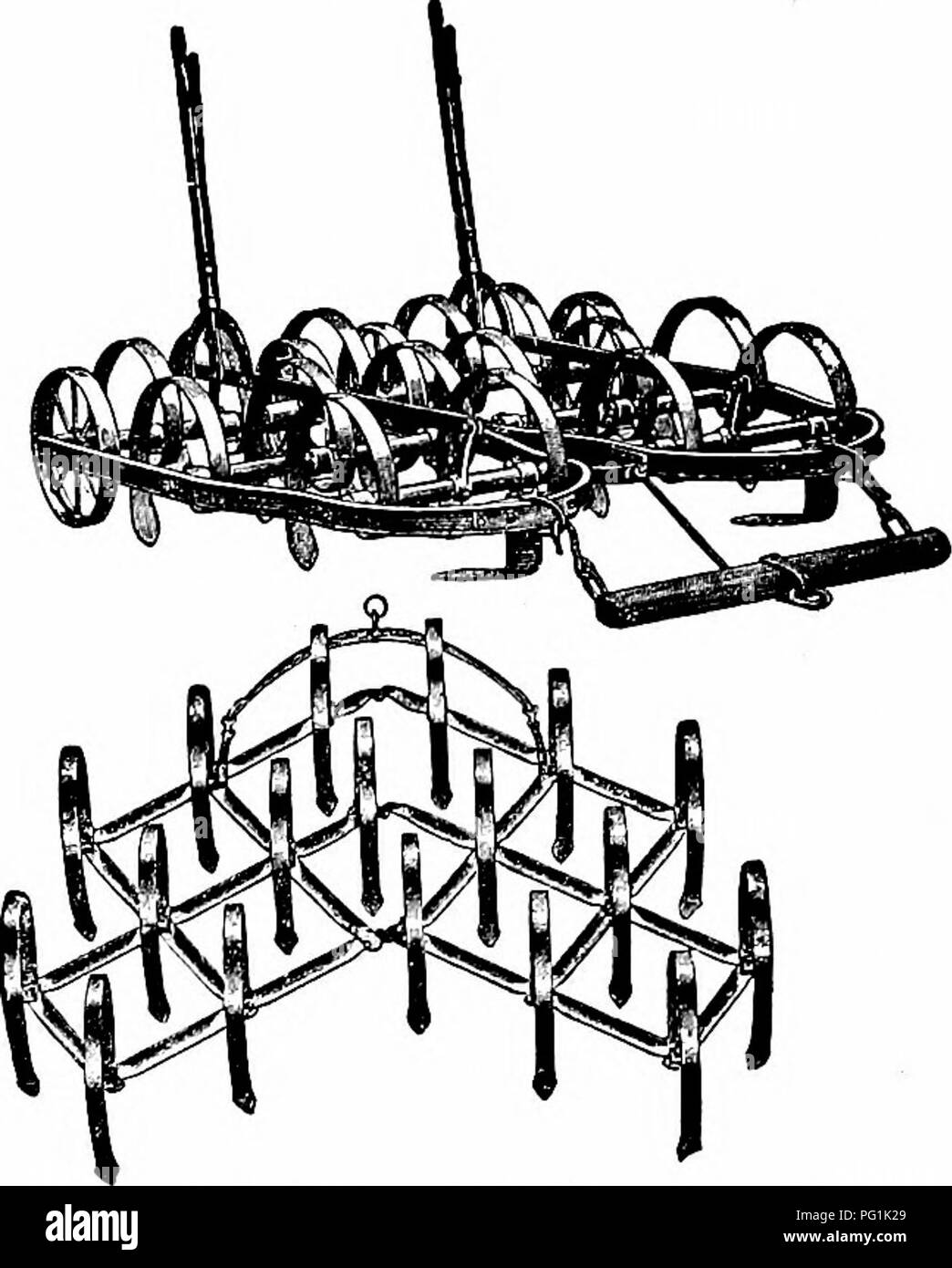 . Manual of gardening; a practical guide to the making of home grounds and the growing of flowers, fruits, and vegetables for home use. Gardening. THE HANDLING OF THE LAND 95 land is accomplished by light implements of the pattern shown in Fig. 88. These spike-tooth smoothing-harrows do for the field what the hand-rake does for the garden-bed. If it is desired to put a very fine finish on the surface of the ground by means of horse tools, im- plements like the Breed or Wiard weeder may be used. These are con- structed on the principle of a spring-tooth horse hay-rake, and are most excellent, n Stock Photo