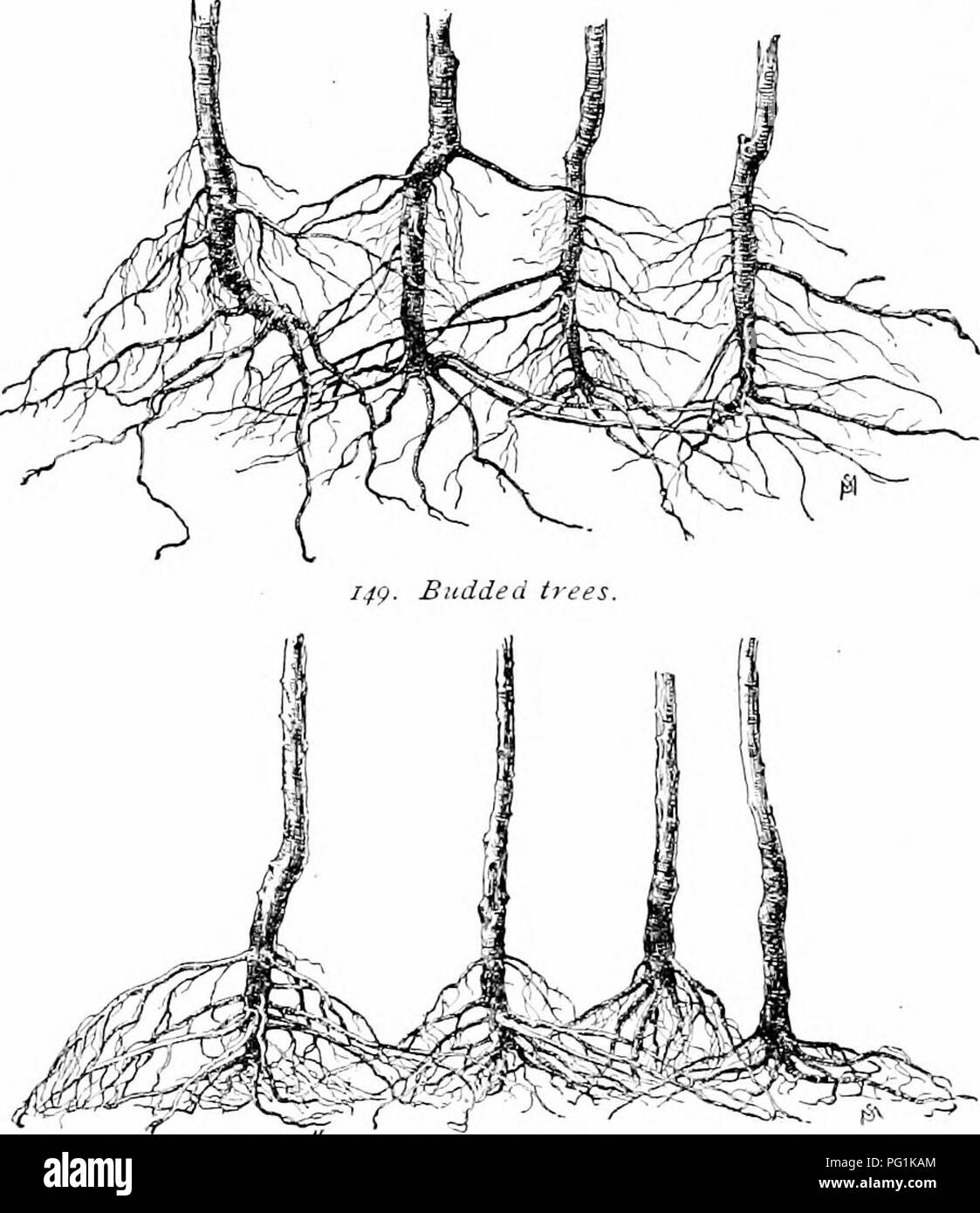 154 th Black and White Stock Photos & Images Alamy