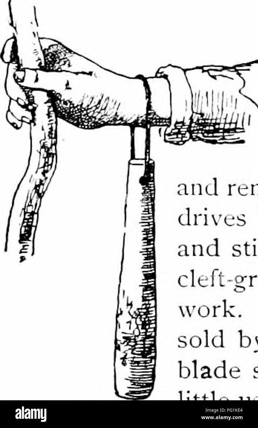 mallet grafter black