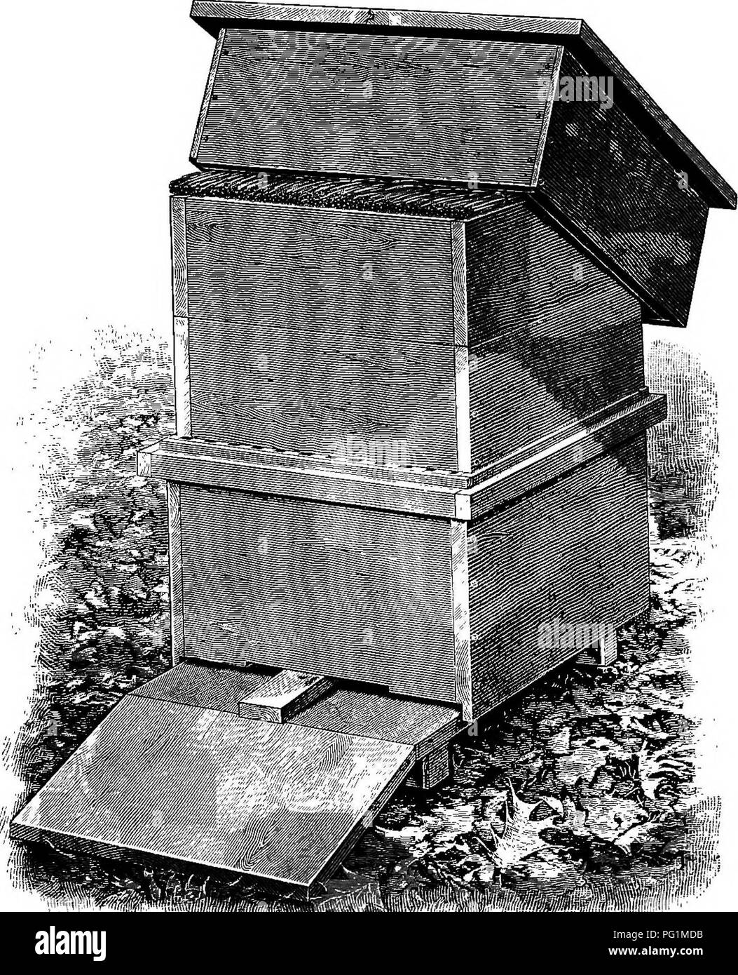 Langstroth On The Hive Honey Bee Bees Movable Rrame Hives 161