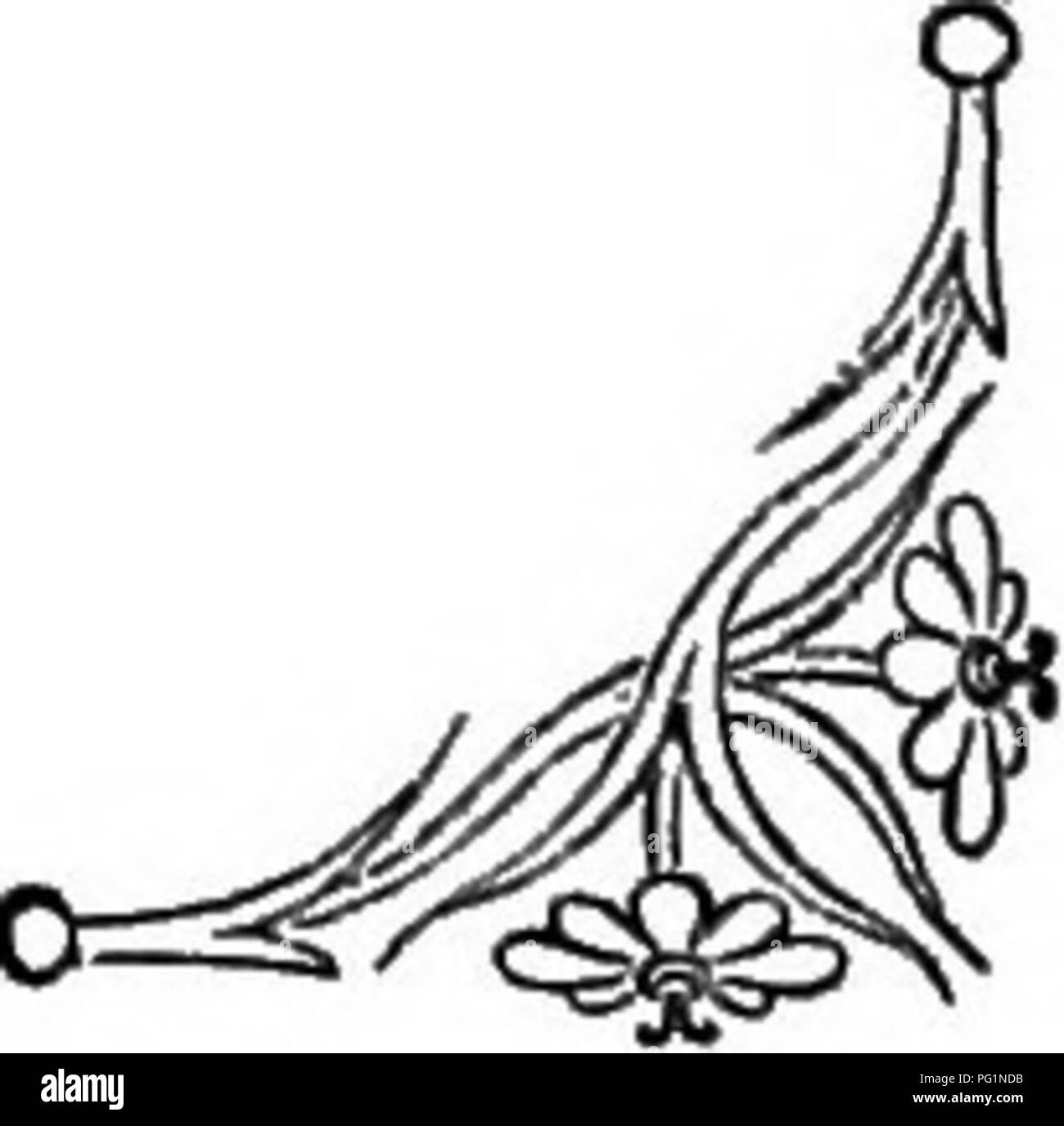 Stock Flower Symbolism