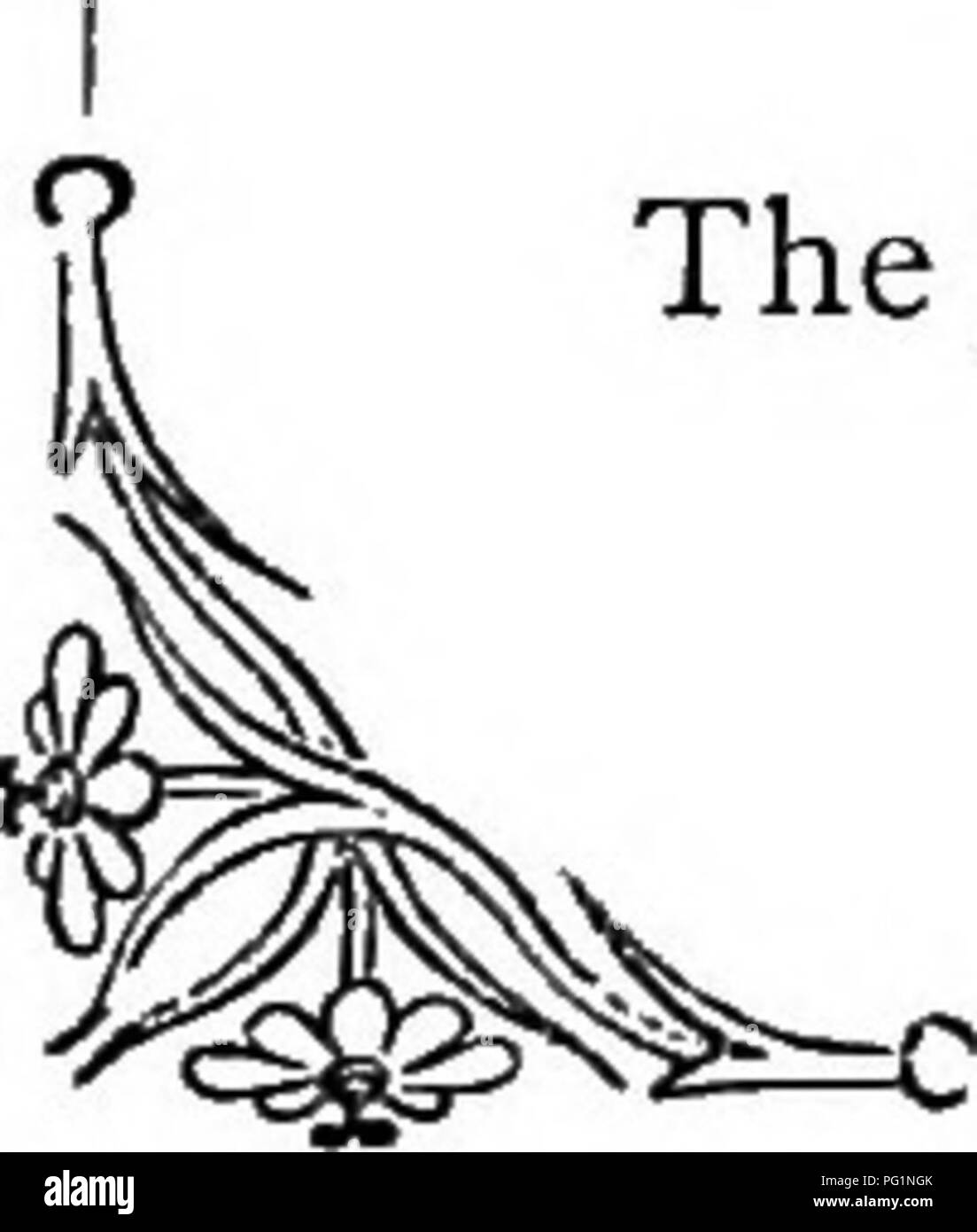 . The language of flowers: or, Floral emblems of thoughts, feelings, and sentiments ... Flower language. THE PRIMROSE. W&amp; period in which Winter, withdrawing herself, sees the hem of her snowy mantle adorned with an embroidery of verdure and of flowers. It is no longer the season for frosts, nor yet are bright days come. Yet how exhilarating are the days when Primrose tufts appear on every bank, and beneath every hedgerow ! How well do we remember the millions which deck the hill-sides, and vales, and hazel copses in the lovely country about Godalming ! there, mingled with the dog-violet a Stock Photo