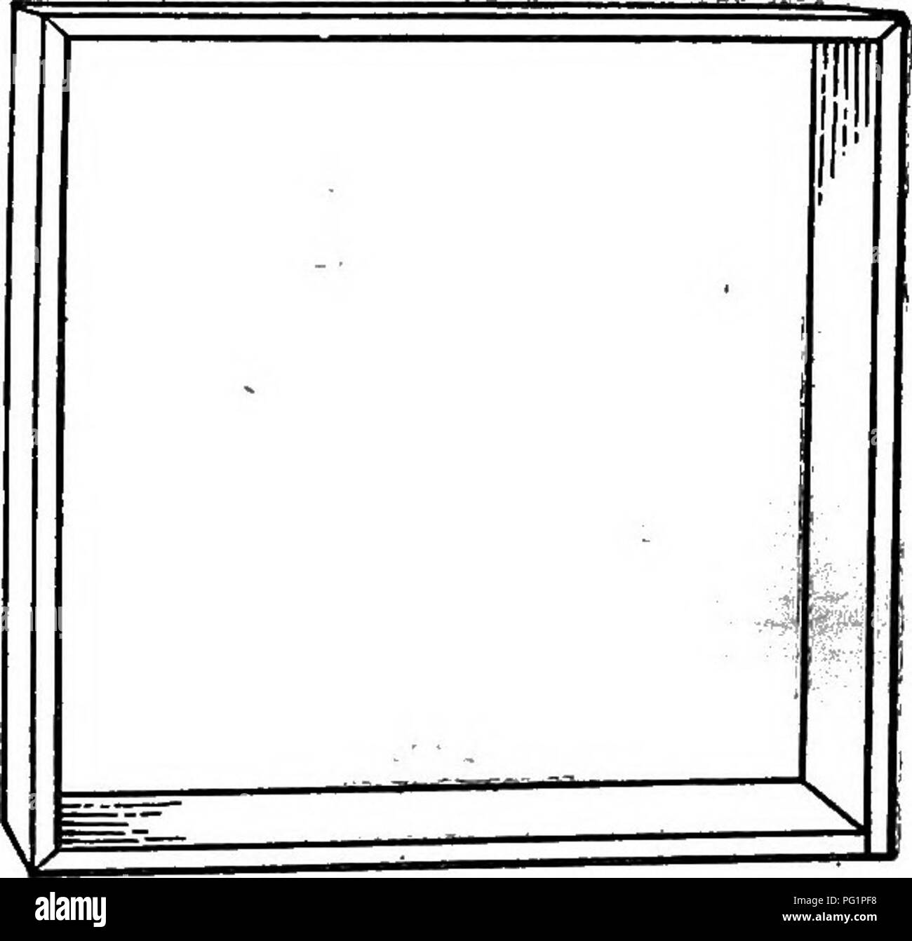 Well defined combs hi-res stock photography and images - Alamy