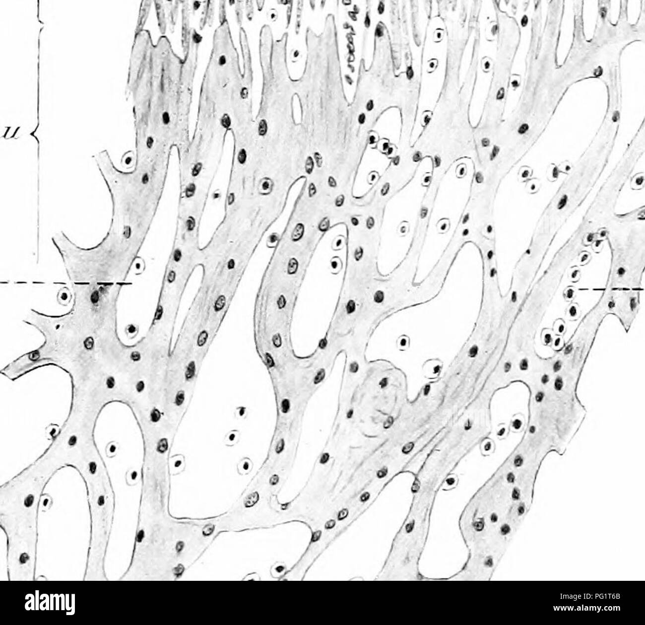 230 Ad High Resolution Stock Photography and Images - Alamy