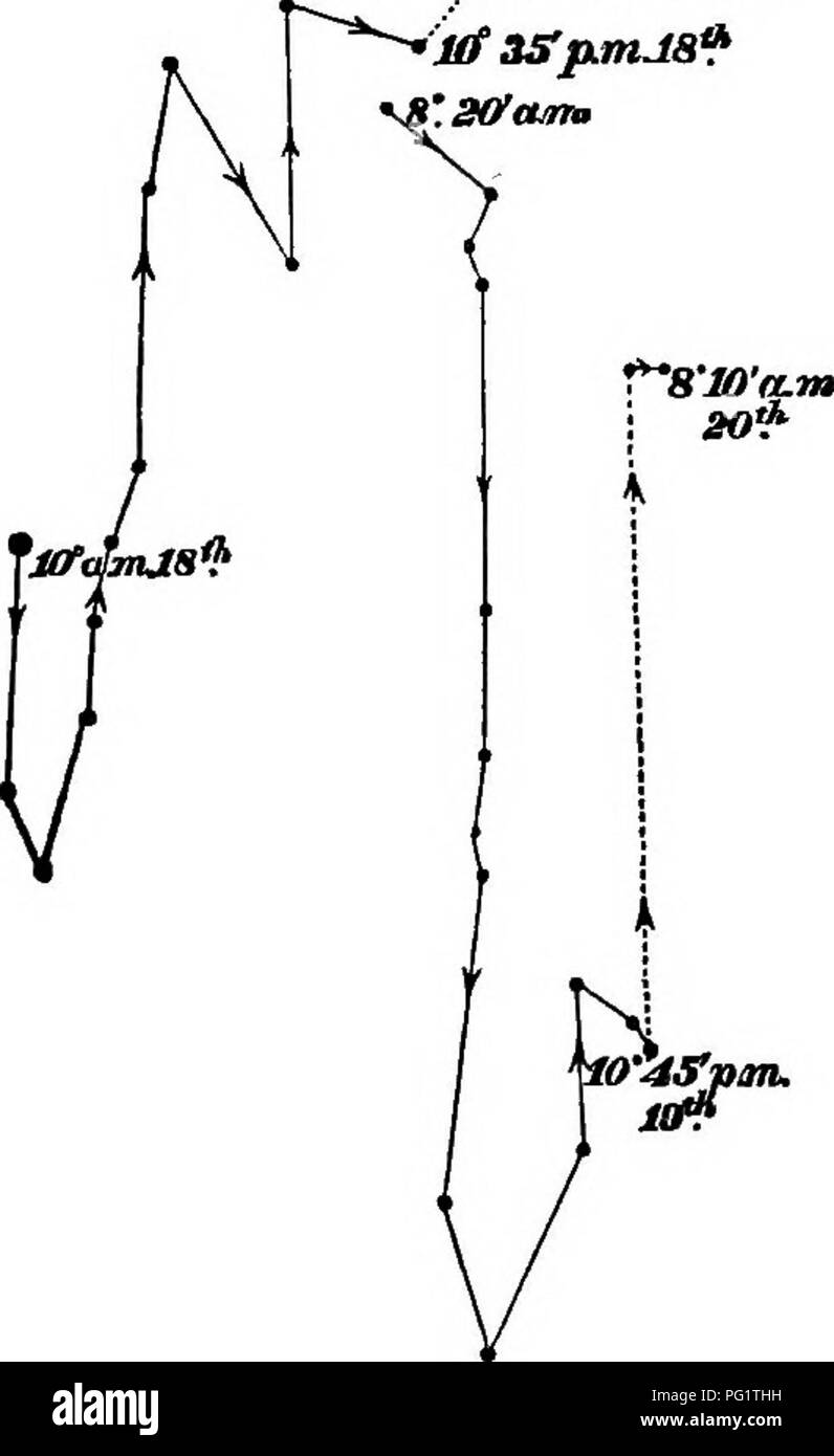 The Power Of Movement In Plants Plants Botany Tiup Iv Dicotyledons 245 Leaf 5i Inches In Length Produced By A Young Plant 2 Feet High Growing Tigorously In A Large