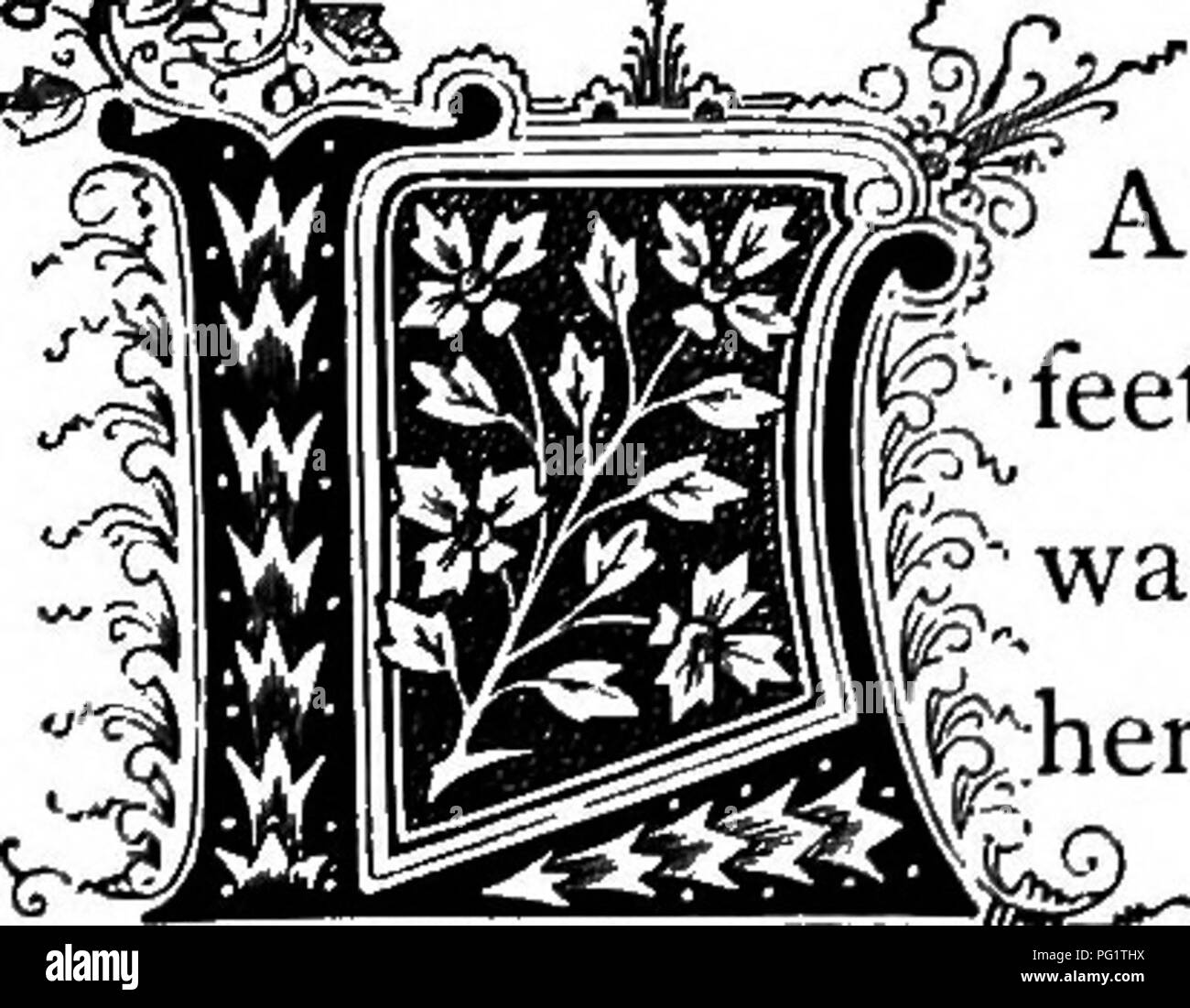 Nobilia hires stock photography and images Alamy