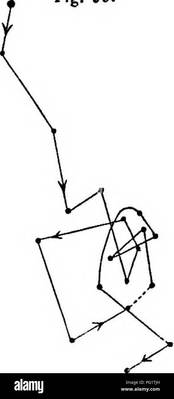 Nutation Patterns This chapter from *The Power of Movement in Plants* by Charles Darwin ...