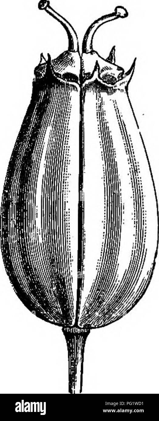 Two face column Black and White Stock Photos & Images - Alamy