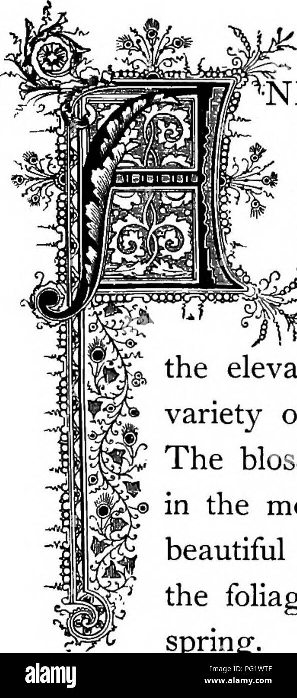 . The floral kingdom its history, sentiment and poetry A dictionary