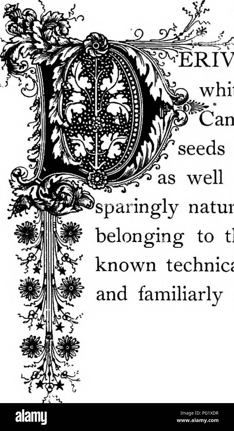 . The floral kingdom its history, sentiment and poetry A dictionary