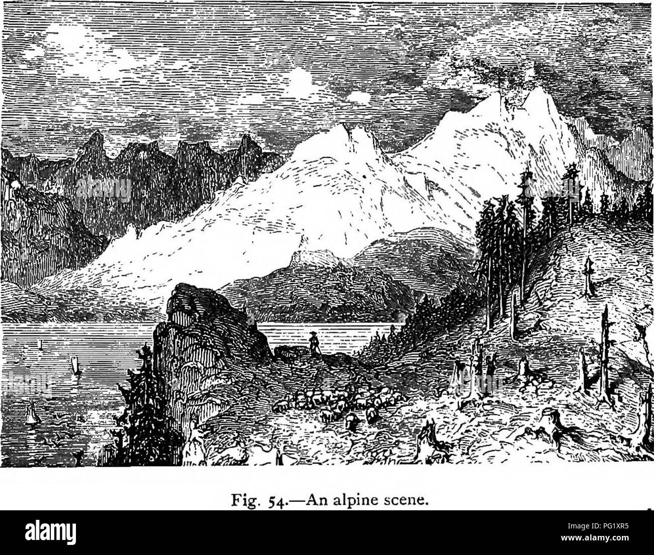 This guide introduces alpine flowers suitable for cultivation in ...