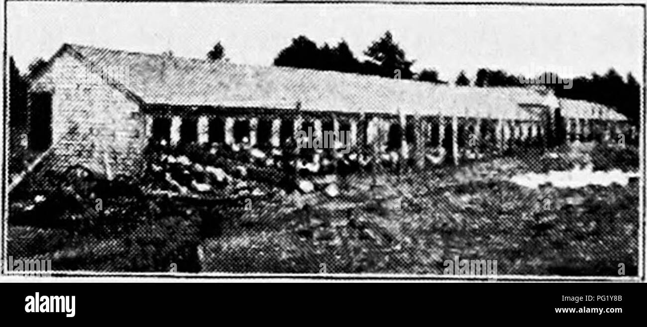 Brooder house hires stock photography and images Alamy