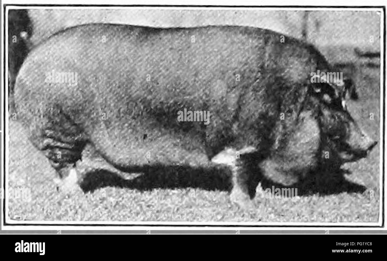 page 5 350 year old high resolution stock photography and images alamy