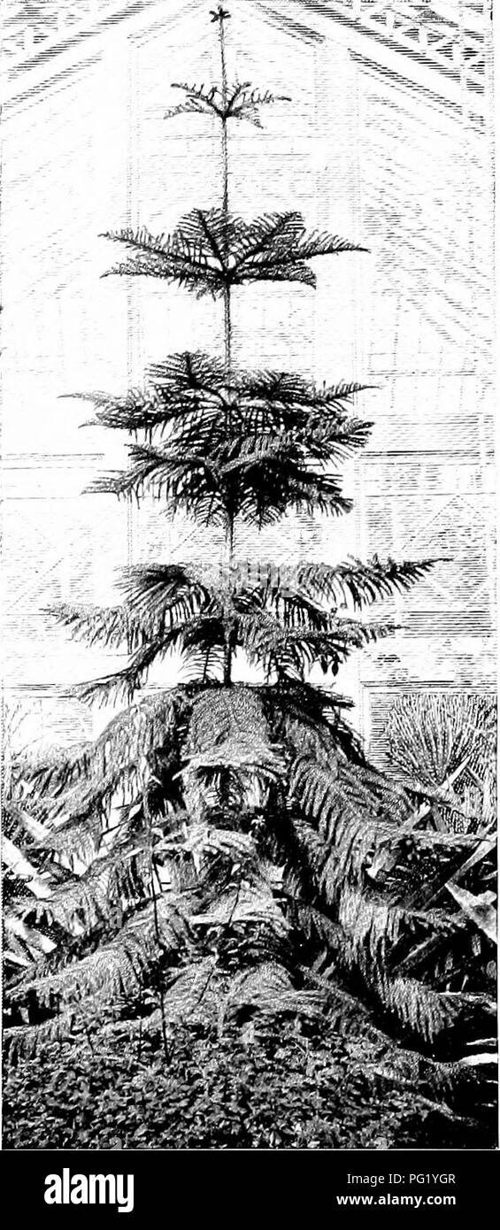 This introductory botany book covers the basic principles of plant ...