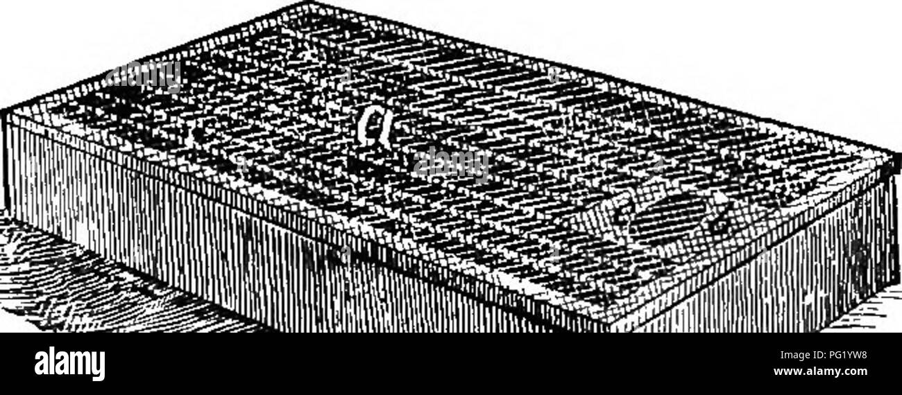 The Bee Keeper S Guide Or Manual Of The Apiary Bees 270 Thb Bek Kbbpbr S Guide Smith Fbbdbr This Feeder Fig 127 Is Larger Than The Shuck I Make Them Eight By Twelve Inches And