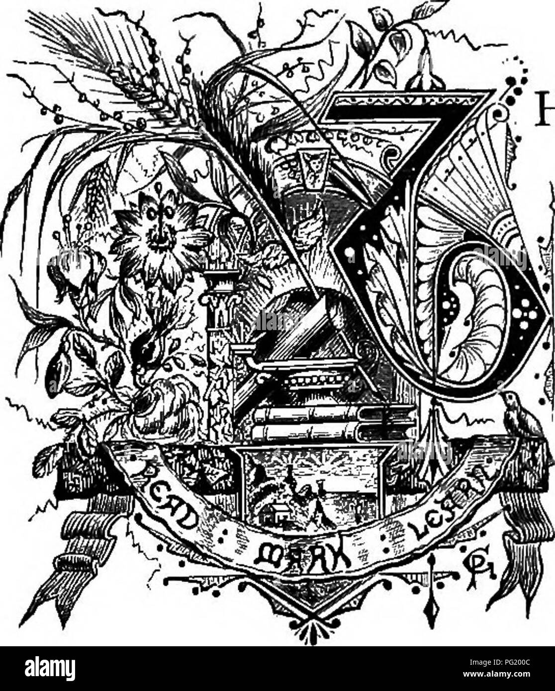 Almost every flower heart Black and White Stock Photos & Images Alamy