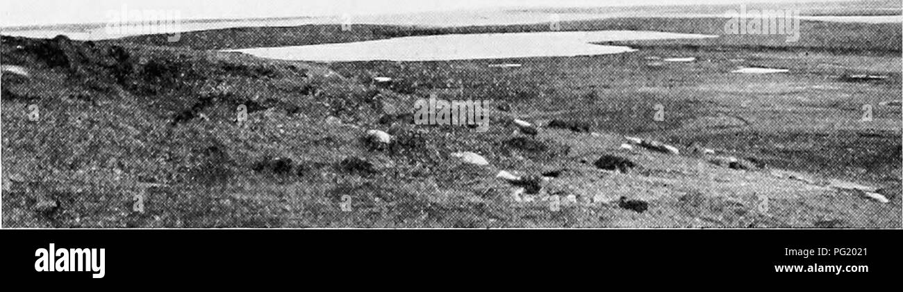 18 june 1913 hires stock photography and images Alamy